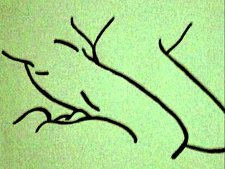 Martina's Erotic Lesbian Oral Story by Marcelo Pérez.