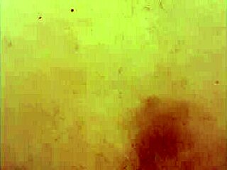 xl flint and sleipnir have casual encounter with condom in monster-themed story