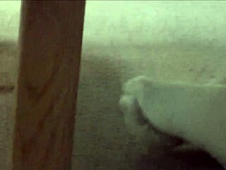 Dirty Socks Hidden Under Sneakers Caught on Camera