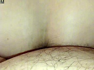 i giv my neibor sum wild sentons n he lovs it