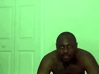 Taking Turns Stretching Like Zodiac Animals