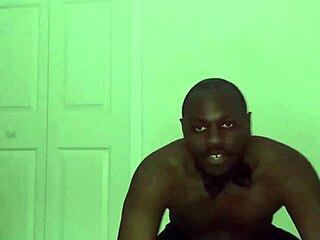 Taking Turns Stretching Like Zodiac Animals