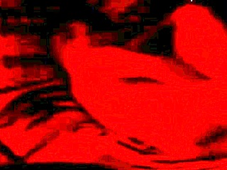 I spotted my bride fucking amateurs at our homemade wedding. It was wild and intense.