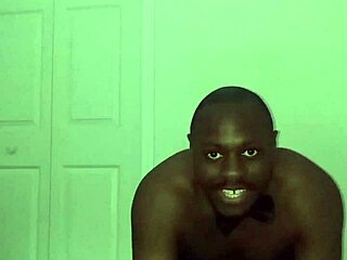 Taking Turns Stretching Like Zodiac Animals