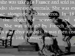 history of big black ass saartjie baartman