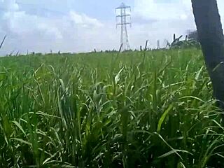 My housewife shows her big boobs in the village house