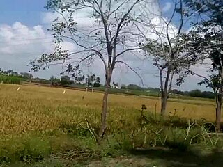 My housewife shows her big boobs in the village house