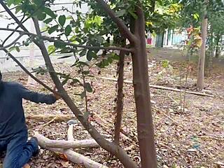 Minutes of Terror and Intrigue in Garden