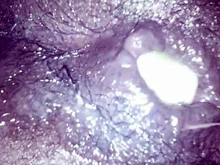 vegitables out with mykkel osas fun clips