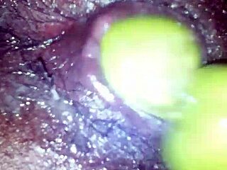 vegitables out with mykkel osas fun clips