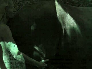 Dark lantern entertainment presents vintage retro shows with natural beauty