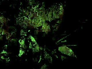 What's hidden in my secret life from the past?