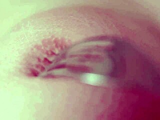 Good Morning - Elizabeth L Nicolette A