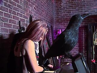 Angel And Cassie Fuck Their Classy Friend With Big Cock Double Penetration!