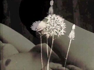 Vintage Erotic Drawings