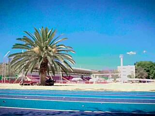 i'm trying to meditate in the park but keep getting distracted by thoughts