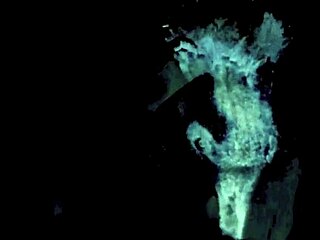 My secret life features vintage erotic scenes with hairy pussy and blowjobs.