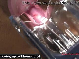 Intriguing Human Guinea Pigs Experiment With Miss Mars