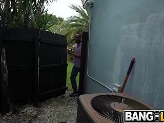 huge asses and tits featuring nyny lew and connie perignon