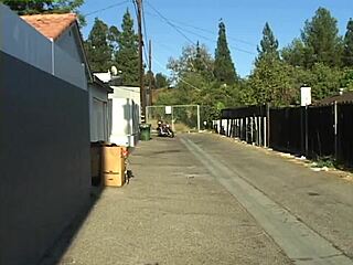 black sluts rock anal like champs! 🍑