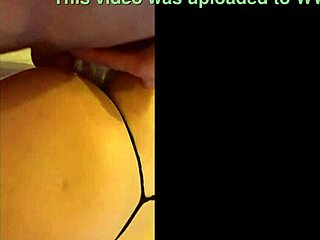 Alice Fire Enjoys Wild Encounters in Hotel Rooms.