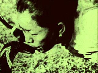 dark lantern presents beauty and the beast