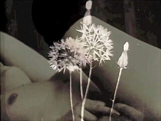 I share my secret erotic confessions from a victorian gentleman's life