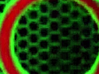 Sara Jay's Steamy Phone Sex Session