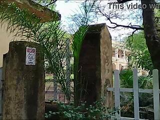 i got wild with a hot married lady, starting with a blowjob right there