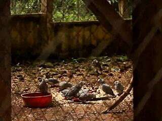 i felt so pleasured during that park quickie with his huge cock