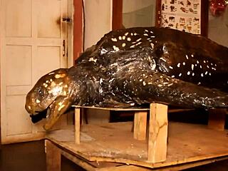 i felt so pleasured during that park quickie with his huge cock