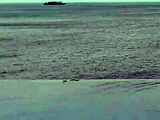 Stunning Asian college princess with ponytail shows off legs at infinity pool. Her small waist and beautiful feet shine by the water.