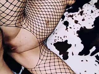 Wow, my wife in erotic fishnet bodysuit spreads legs for POV anal!