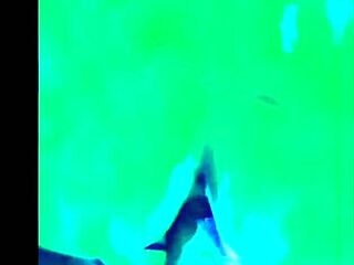 Chilean Babe with Rich Big Ass Gets Fucked Hard in Doggystyle from POV Angle