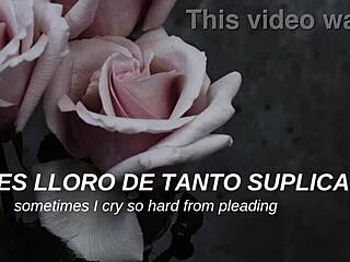 My Chemical Romance performs 'I Don't Love You' with Spanish subtitles.