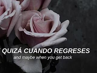 My Chemical Romance performs 'I Don't Love You' with Spanish subtitles.