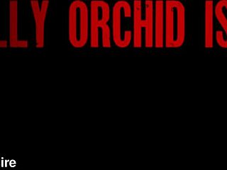 Asian Beauty Dolly Orchid Intensely Pounded By Tattooed Spanish Man