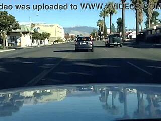 Bet Mary Cleans House