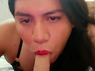 Me gusta chupar mi dildote in transsexual solo play