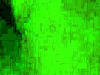 Steph explores vibrant Dallas scenes