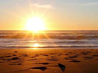 Intimate Morning Sex Hints At Passionate Kisses And Creampie In Pool With Alexis Tae