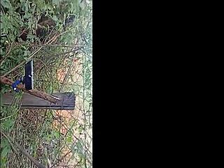 Deixa eu mamar no seu pinto amigo