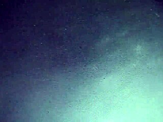 Bitch With Hairy Big Pussy Gets Detailed Attention