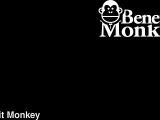 Benefit monkey liz rainbow gets mouthful of semen