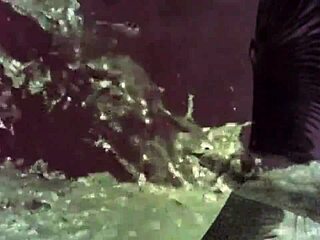 Vintage Entertainment Featuring Women And Animals