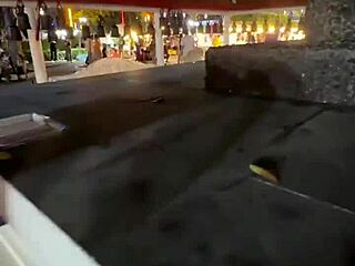 Nothing To See Here - Not A Crazy Cat Lady Feeding Stray Cats In Thailand