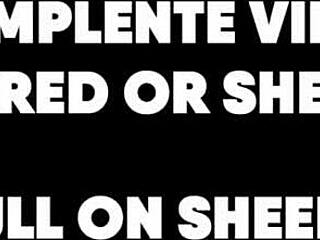 Full Video Anal And DP