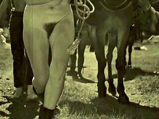 dark lantern entertainment presents from my secret life the erotic confessions of a victorian english gentleman