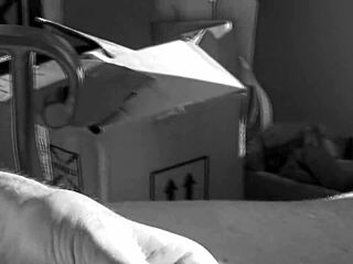 the first xvid video