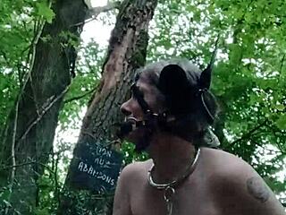 esclave f la ponygirl en forêt, bound and humiliated?